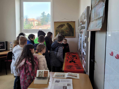 Výstava Škola a vzdělávání